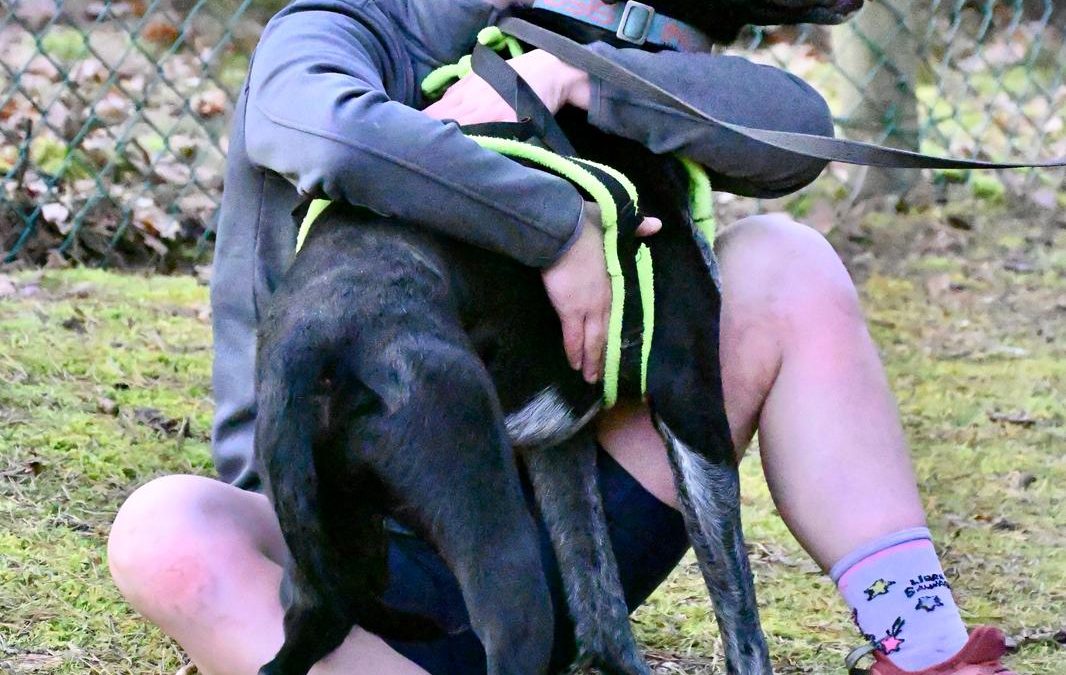 Pourquoi j&rsquo;aime autant photographier la complicité humain/chien ?